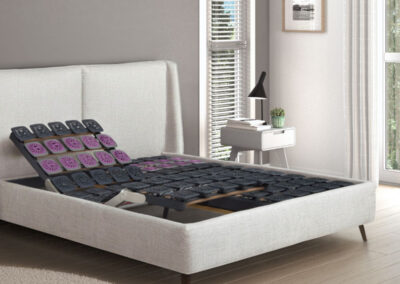 Tempur Premium Flex 3000 elettrica